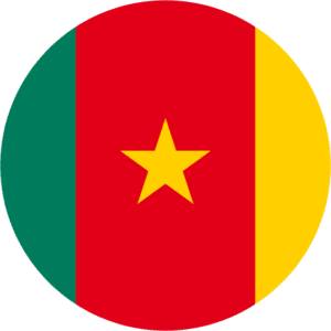 Flagof Cameroun