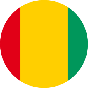 Guinea Flag