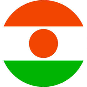 Niger Flag